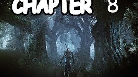 The Witcher 1 Chapter 8