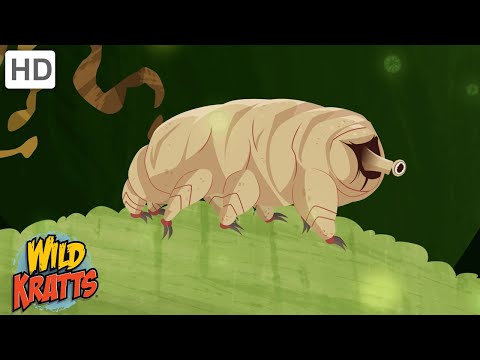 The Indestructible Tardigrade | Surving in the Harshest Environments | Wild Kratts