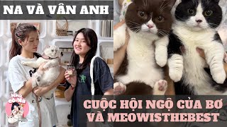 Na Và Vân Anh Có Điểm Tương Đồng Gì | Lần Đầu Bơ Gặp Mèo Nhà Meowisthebest | Nhà cô Na #47