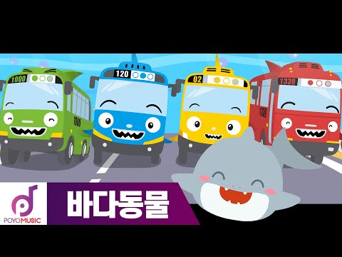 타요 노래 | 아기 타요 상어 | 바다동물동요 l DJ타요의 뮤직 스테이션