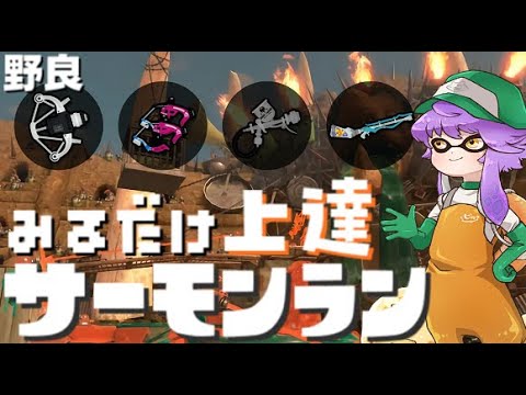 【野良】見るだけ上達サモラン！激つよどんぴこ闘技場！🐋【スプラトゥーン3/サーモンランNW】