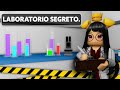 Ho Costruito Il Mio Laboratorio Segreto Su Roblox Brookhaven!