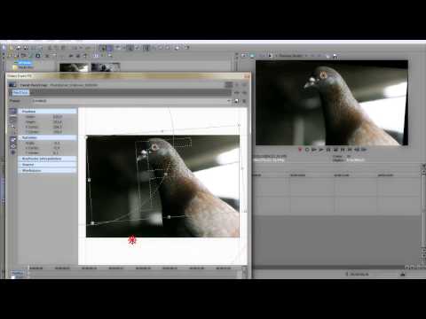 Sony Vegas - Tutorial - Effect #26