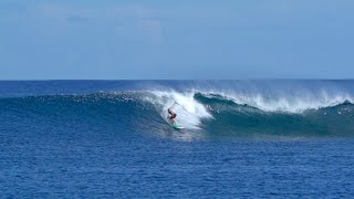 MY FIRST EPIC NOVELTY SCORE in THE MENTAWAIS! (& SPEAR FISHING!)