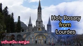 Holy Rosary from Lourdes || English Rosary || 31.05.2024