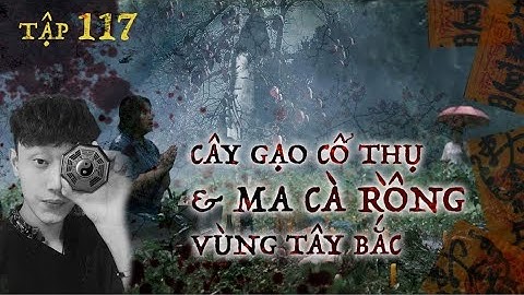 TẬP 117:  TRÊN CÂY GẠO CỔ THỤ & MA CÀ RỒNG Ở TÂY BẮC || NGUYỄN NGUYỄN