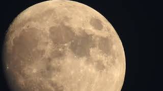 moon rise today live
