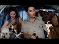 Elvis Presley-A Dog's Life(Film, Paradise Hawaiian Style)