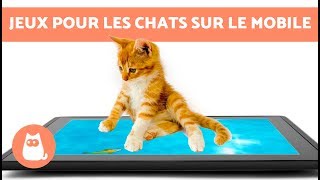 Jeu De Chasse Pour Chats Sur Portable Et Tablette Youtube