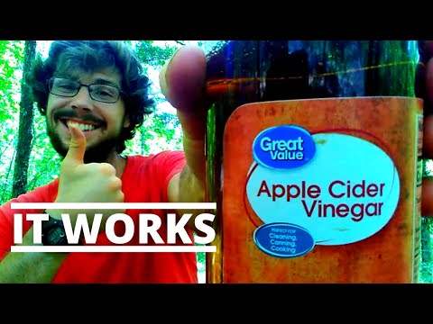 Apple Cider Vinegar As A Bug Repellent hqdefault