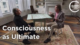 Franklin Perkins - Consciousness as Ultimate