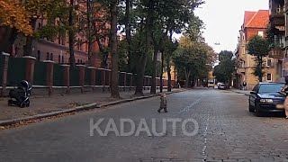 Побег из коляски. Черняховск. 29.09.21