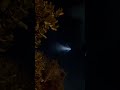 'Very strange': rocket wows onlookers