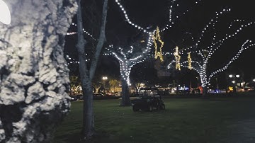 SDR Log V3 Color Grade Test - iPhone 12 Pro Max|Filmic Pro|Lumafusion