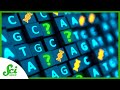 We Hadn't Sequenced the Human Genome...Until Now | SciShow News