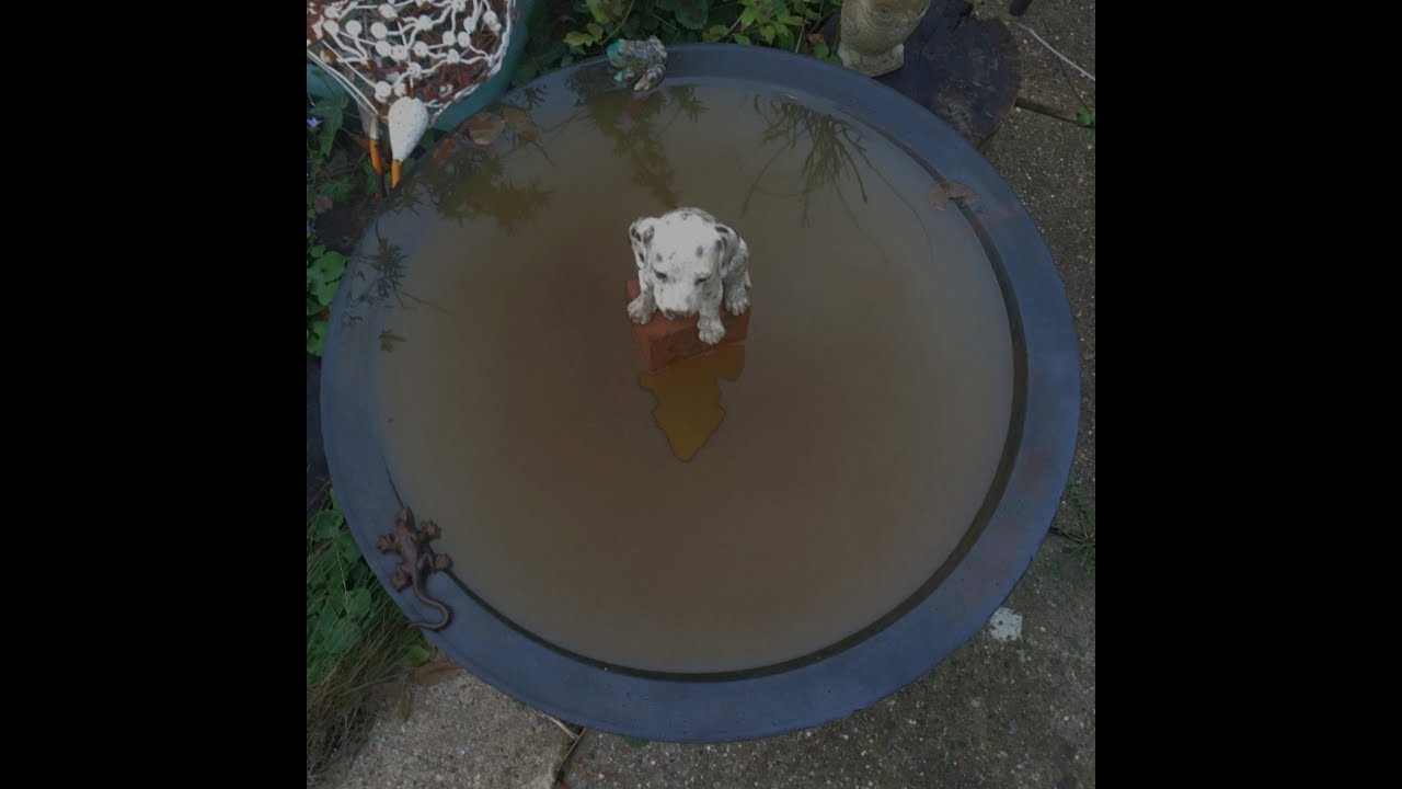 Iranon  -  Organic Weaknesses  [Full Album]