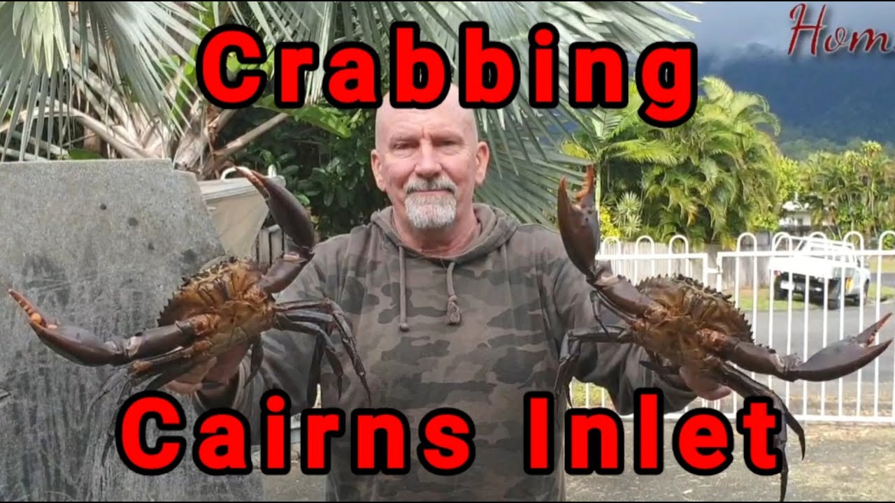 Crabbing Cairns Inlet YouTube