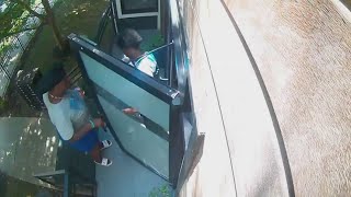 Woman caught in 4K following an Amazon delivery driver and stealing the packages he delivered