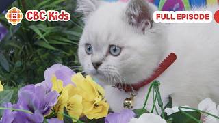 mittens pants paw seasons cbc kids