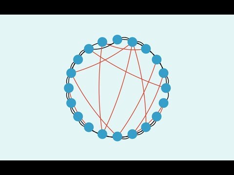 Introduction to Complexity: Flocking and Schooling