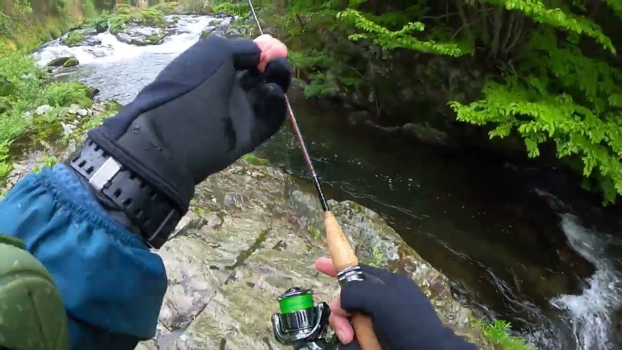 2024年5月17日　宮古渓流釣行