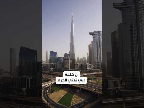 لماذا سميت دبي بهذا الاسم