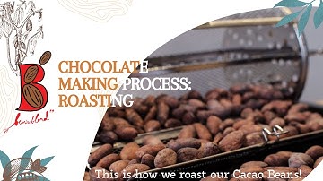 Small batch cacao roasting using an oven and rotisserie drum - Ben