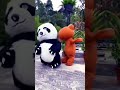 Cute Funny Panda рџђј Shorts Viral Ytshorts Cute Funny Panda рџђј Shorts Viral Ytshorts