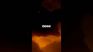 YOUR NOSE IS IN YOUR VISION RIGHT NOW