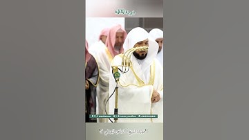 تلاوة خاشعة 🕊 سورة المائدة 🌿 #_للشيخ أ.د #ماهر بن حمد #المعيقلي الليلة 8 #رمضان1446_2025