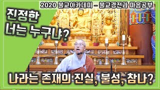 진정한 나는 무엇인가? 몸도 마음도 내가 아니라면 나는 누구? 나의 본래면목, 불성, 참나 - 비대면 온라인 법회