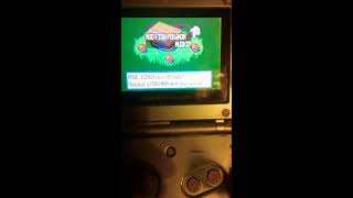 Pokemon Ruby walkthrough part 1 hard choice