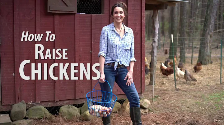 Sponsored | How to Raise Chickens with Stacy Lyn H...