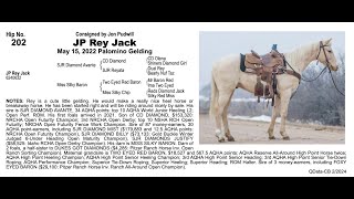 ➖Pitzer Ranch 2024 Spring Sale➖ Lot 202 JP REY JACK