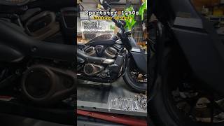 HARLEY-DAVIDSON Sportster1250s Battery change 할리데이비슨 스포스터1250s 밧데리교환하는방법