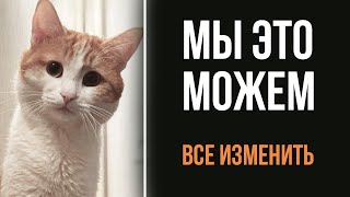 С какой целью я записал видео о коте Твиксе