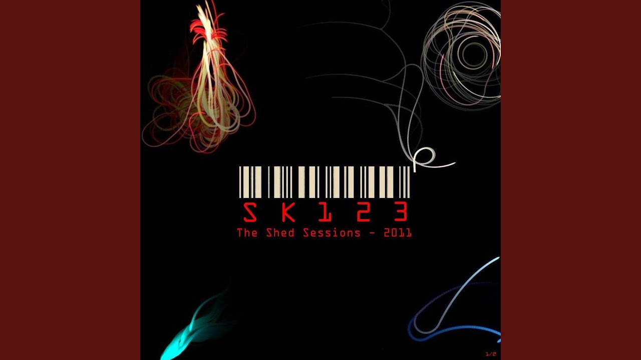 Do Spiders Live Alone? YouTube