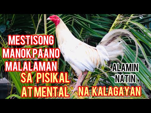 Video: Paano Matukoy Ang Kalagayan Ayon Sa Kulay
