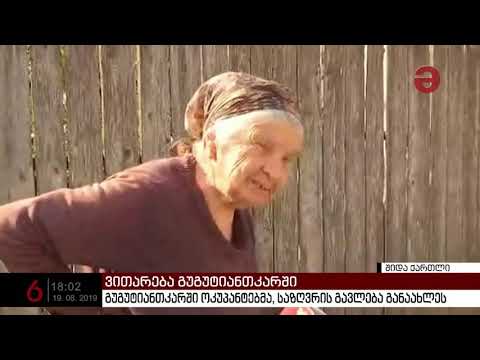 გუგუტიანთკარში ოკუპანტებმა საზღვრის გავლება განაახლეს