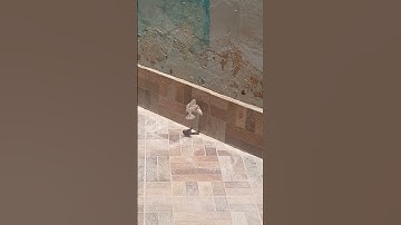 #سورة_الإخلاص #محمد_الفقيه