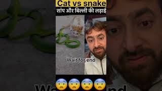 ?? Cat vs snake shorts snake news