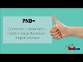 Producto nacional neto pnn