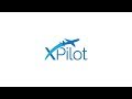 X Pilot: A New Milestone, A New Beginning.
