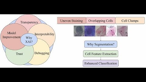 ICARC2024 - Interpretable Cervical Cell Classification A Comparative Analysis
