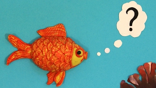 Avez-vous une mémoire de poisson rouge ? - feat Linda Cerqueda - LMB #21