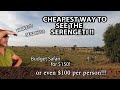 Now Or Never Affordable Serengeti Safari Guide Budget Travel Tips Now Or Never Affordable Serengeti Safari Guide Budget Travel Tips