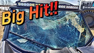 We Hit A Deer!!!