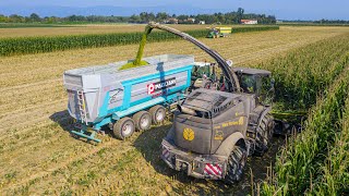 New Holland FR920 Yellow Bull + Krone BigX 650 | Желто-зеленая команда