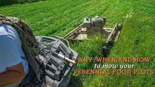 Why, When and How To Mow Your Perennial Food Plots