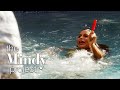 Mindy's Pool Boy Fantasy Gone Wrong - The Mindy Project